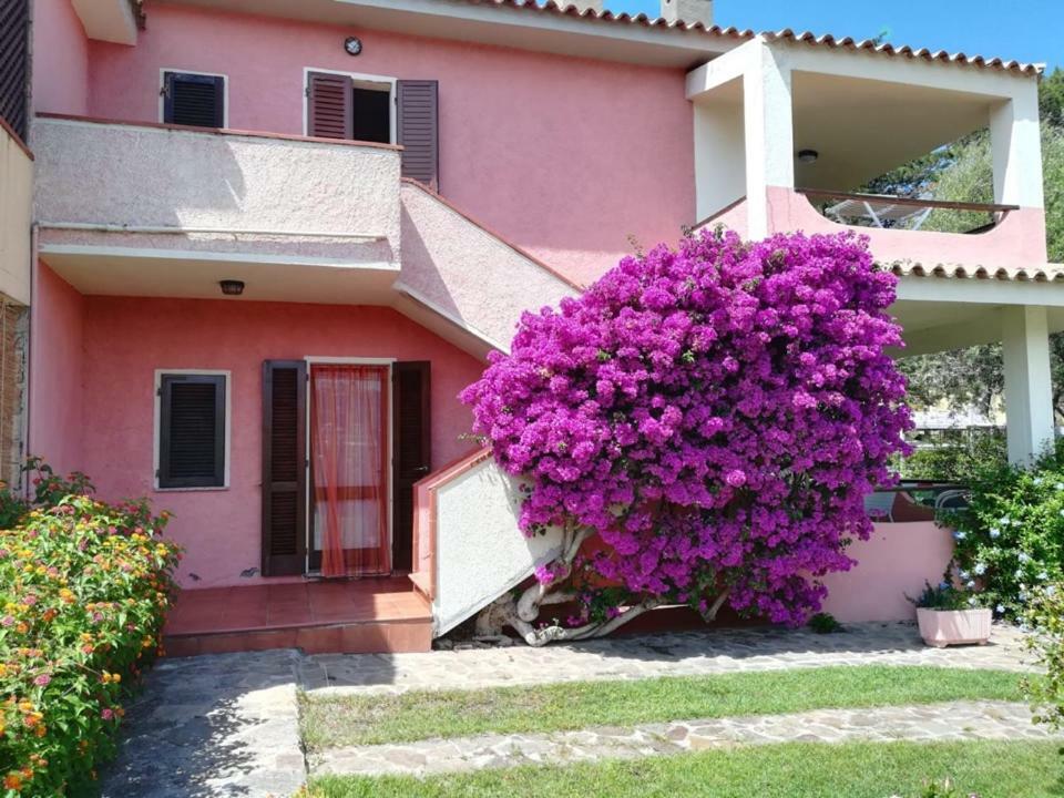 Casa Smeralda กันนิโจเน ภายนอก รูปภาพ